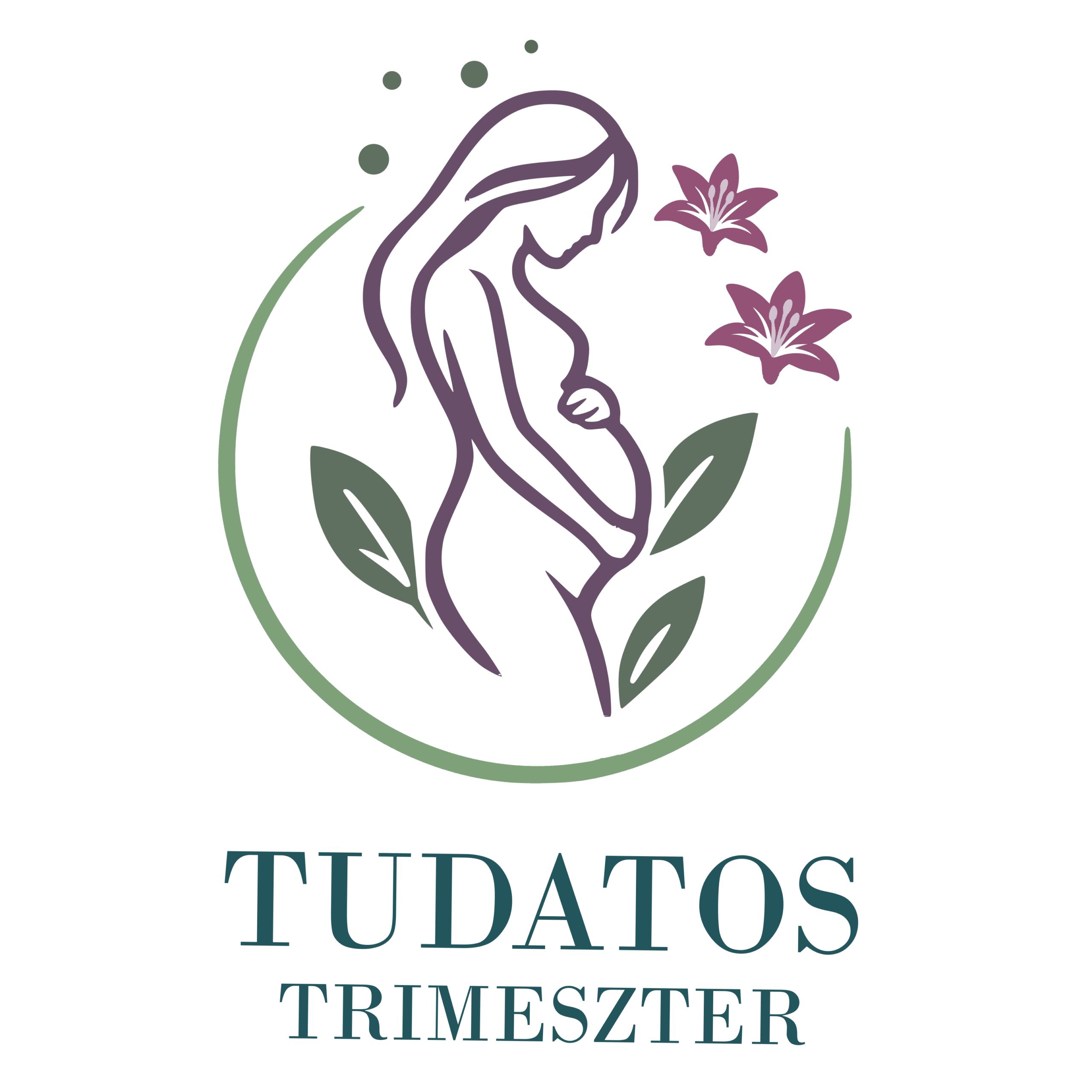 Tudatos Trimeszter logó